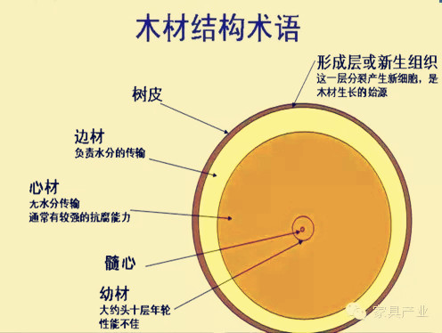 賣家具都知道的必（bì）備常識（shí）——邊材與心材