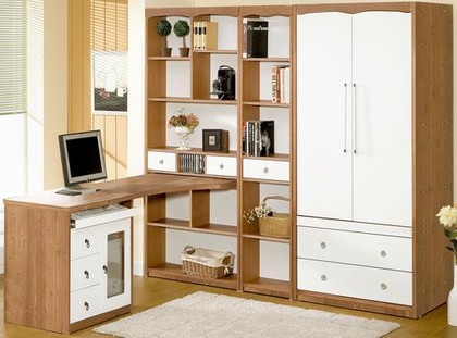 家居保養｜今天我們談談開放式書架防塵問題