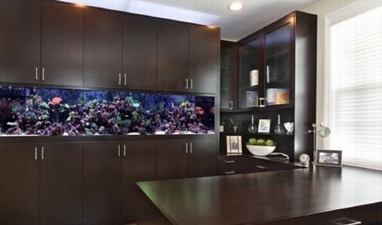 養魚風水讓你財運有餘