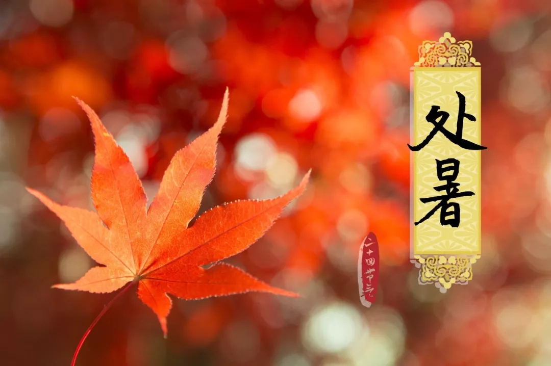 今日（rì）【處暑】請收下來自亚洲午夜天堂（ěr）的一份溫（wēn）馨小貼士！