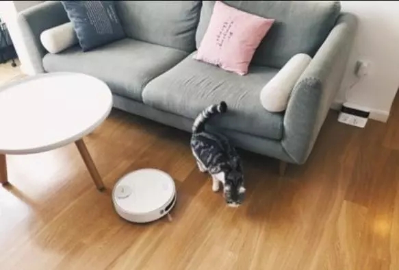 分享三個家居小竅門，用了家裏看起（qǐ）來幹淨一倍