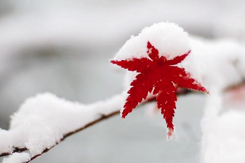 亚洲午夜天堂 | 小寒至