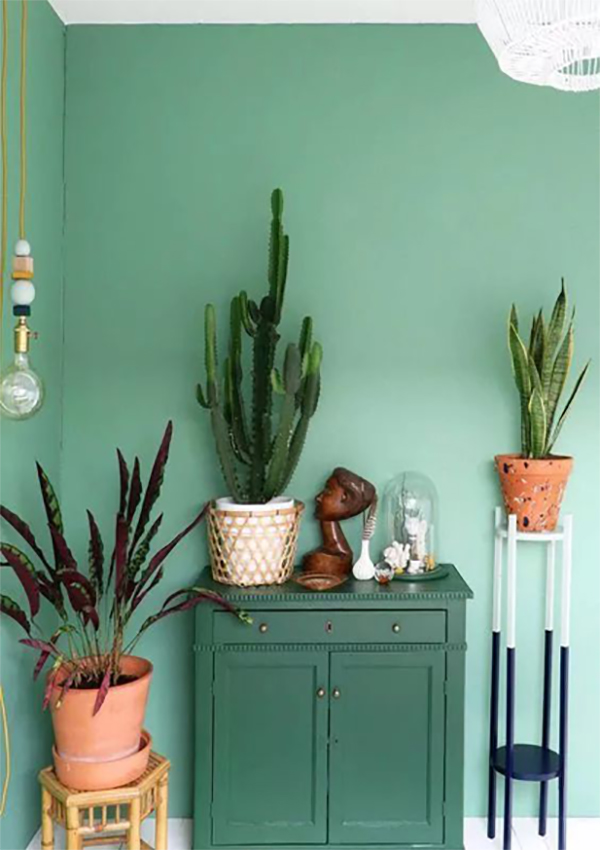 亚洲午夜天堂家具|薄荷綠，帶你（nǐ）走進清新世界