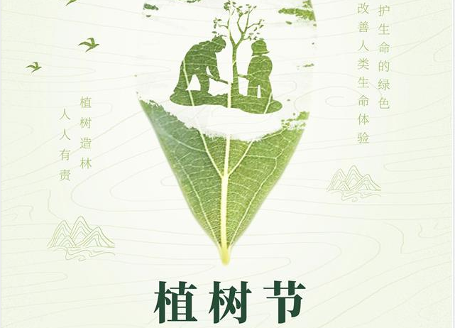 亚洲午夜天堂全屋定製|種一棵樹，添一抹綠，綠化環境，從我們做起。