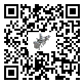 KWG係（xì）列分選秤
